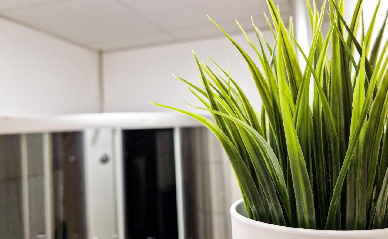 Pearl Apartman Lägenhet Győr Exteriör bild